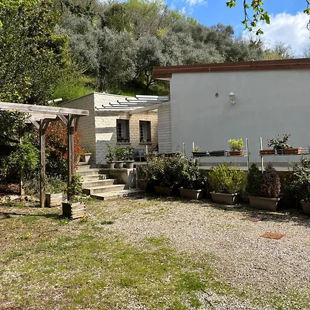 Ma Maison
